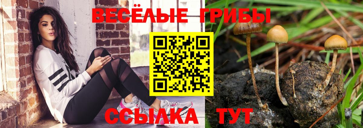 Псилоцибиновые грибы Cubensis  Вход с VPN  Галлюциногенные грибы ЛСД  Старая Купавна 